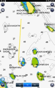 A screenshot of our route on the Navionics APP
