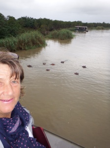 Standing on the top deck with hippos all around us.